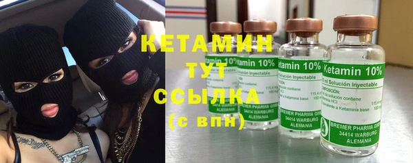 гашик Гусь-Хрустальный