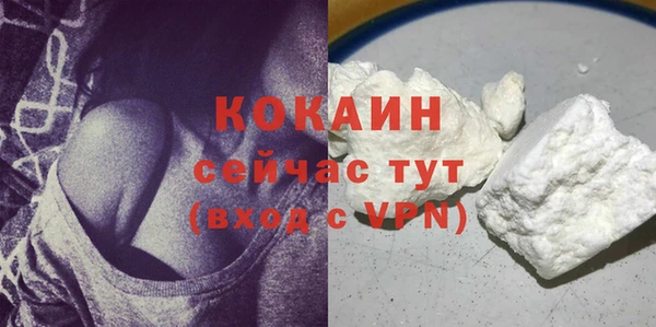 гашик Гусь-Хрустальный
