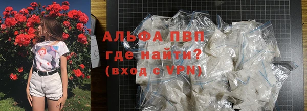гашик Гусь-Хрустальный