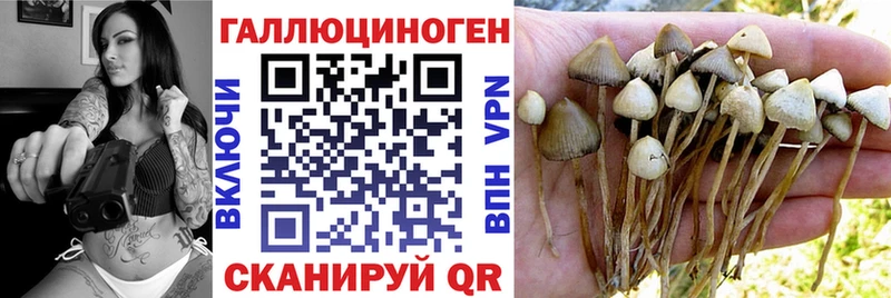 Купить где  Армянск  Псилоцибиновые грибы Cubensis 